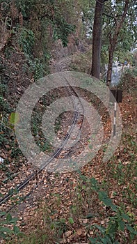 Železnice sledovať medzi a pokrytý listy 