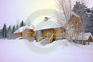 Two log houses on the background of the winter forest.