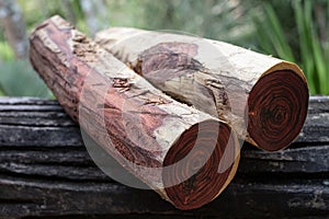 log siam rosewood
