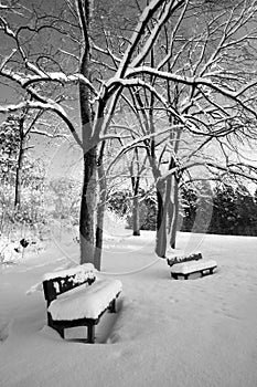 Two lonely benches covered in snow