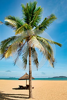 Two lonely loungers on the deserted beach of Hainan Island.