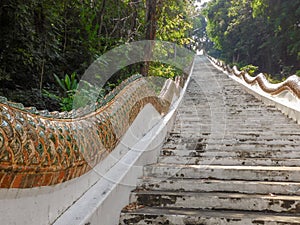 Two long Naga serpents form the railings of a temple stairway in northern Thailand