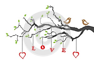 Two love birds and love tree