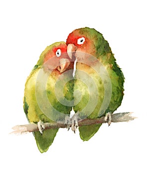 Two Lovebirds Watercolor Exotic Bird Love Illustration Hand Drawn