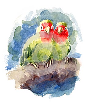 Two Lovebirds Watercolor Exotic Bird Love Illustration Hand Drawn photo