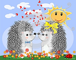 Two lovers cute cartoon hedgehogs, a boy and a girl near a seven-colored rainbow and ladybugs on a spring