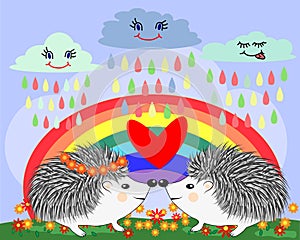 Two lovers cute cartoon hedgehogs, a boy and a girl near a seven-colored rainbow and ladybugs on a spring