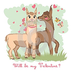 Two lovers, kissing llamas surrounded by hearts. Love is in the air. Inscription You are my Valentine, postcard