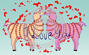 Two lovers, kissing llamas surrounded by hearts. Love is in the air. Inscription I love you, postcard, Valentine's day