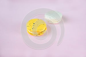 Two macaroons on pink background, french dessert, easter gift