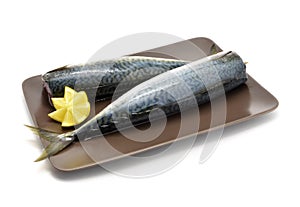 Two mackerel fish fillets