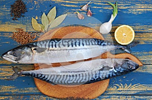 Two mackerel fishes on the wooden board ready for cooking decorated with lemon slices, spices on the blue wooden table