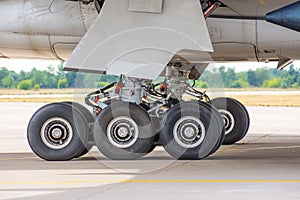 Two main landing gear with tires, view under the aircraft fuselage