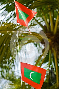 Two maldivian red green colour national flags on the rope during beautiful windy day