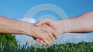 Two male farmers shake hands. Against the background of a green field and a blue sky. Deal in agribusiness concept