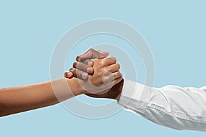 Two male hands competion in arm wrestling isolated on blue studio background