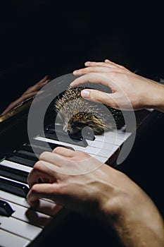 Two male hands on the piano. palms lie on the keys and play the keyboard instrument in a music school. student learns to play.