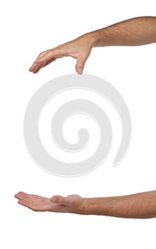 Two male hands with space to put something.