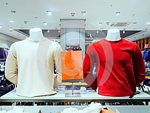Two male mannequin torsos in pullovers on the background of the store