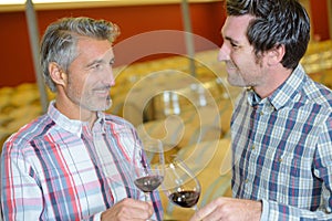 two male winemakers tasting wine in glass in winery cellar photo