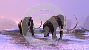 Two Mammoths Walking on Frozen Ground