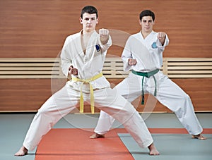 Two man at taekwondo exercises