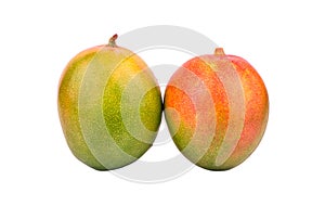 Two mango fruit
