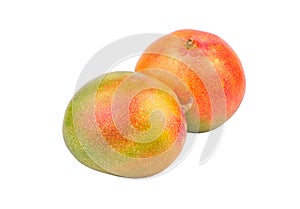 Two mango fruit