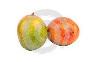 Two mango fruit