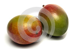 Two mango fruit isolated