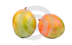 Two mango fruit