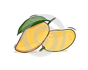 Two Mango fruit vector isolated on white background
