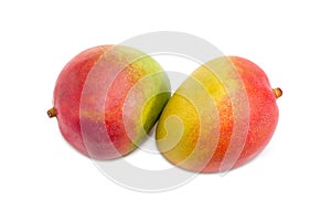 Two mango fruit on a white background
