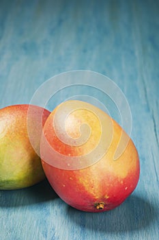 Two Mangoes on a Blue Background