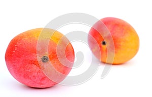 Two mangoes on white