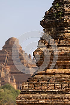 Two of the many temples that can be found in Bagan