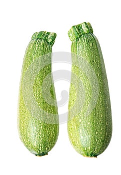 Two marrow zucchini