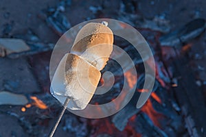 Two marshmallows on roasting stick browning over campfire photo