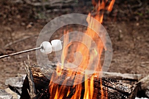 Two Marshmallows on a stick over a bonfire