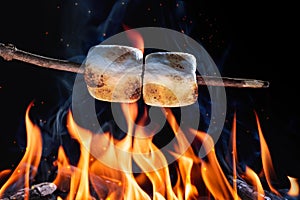 Two Marshmallows On A Stick