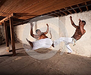 Two Martial Artists in Mid-air