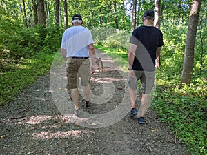 Two Men Hike on Trail in Woods on Sunny Day