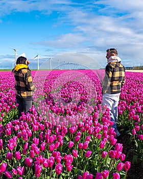Two men standing tall amidst a sea of vibrant purple tulips in a stunning field in the Netherlands, with windmill