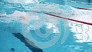 Two men are swimming butterfly along the pool's lanes