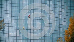 Two men workers cleaning the exterior windows of a skyscraper - industrial alpinism - hanging on ropes