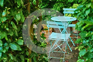 Two metal courtyard and patio chairs and table in serene, peaceful, lush, private backyard at home on a summers day