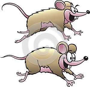 Two Mice