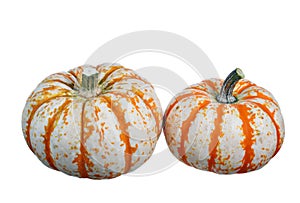 Two mini pumpkins