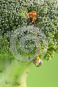 Two miniature figurines climbing on top of a broccoli s
