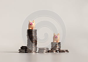 Two miniature pink piggy on top of pile of coins. The concept of capital investment.